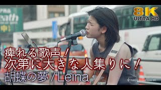 8K 】痺れる歌声！次第に大きな人集りに！ 胡蝶の夢 / Leina 8K映像