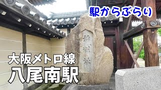 【駅からぶらり】大阪メトロ・八尾南駅　空港と古代史のまち