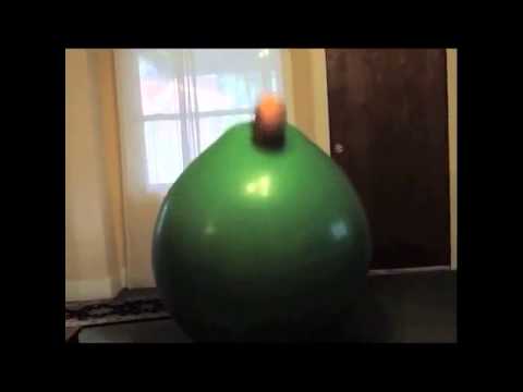 Opening To Angelina Bellriana Friends Forever 2003 VHS