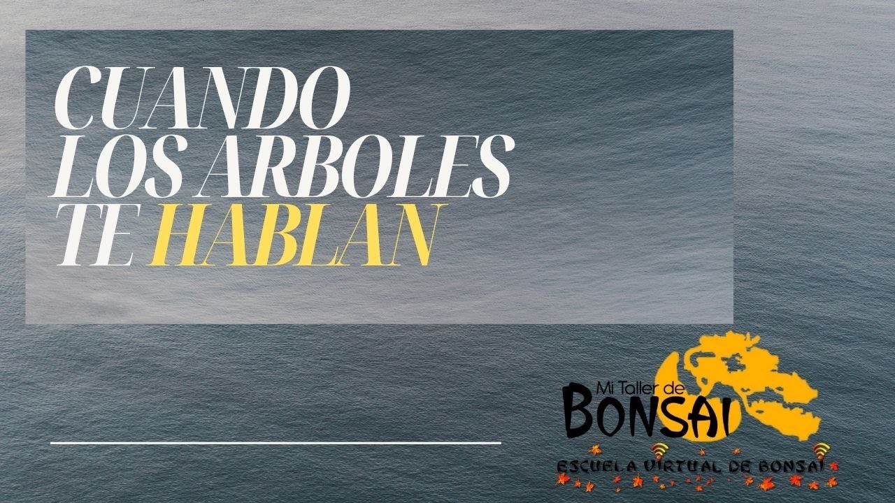 Cuando los ARBOLES te HABLAN