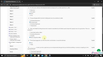 NPTEL Organizational Behaviour Week5 Assignment5 Solution JULY 2024