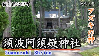 アズキの神「須波阿須疑神社」～池田町【動画紀行・福井県】Suwaazuki Shrine
