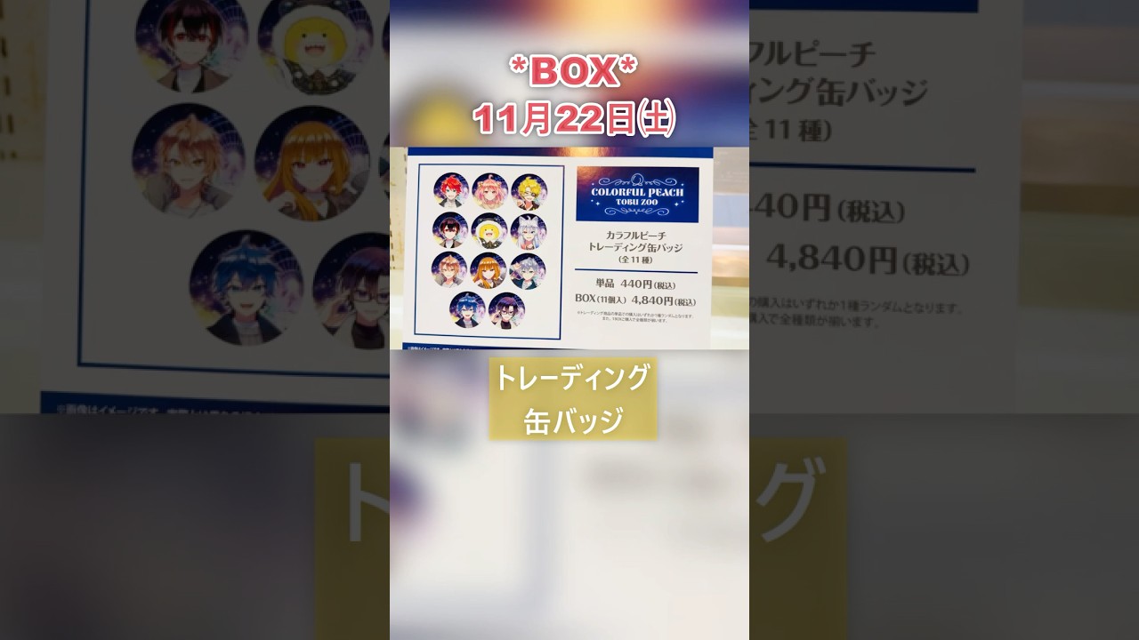 完売】クリアファイル＋ビスケット「からぴちグッズ在庫状況⑥」東武 