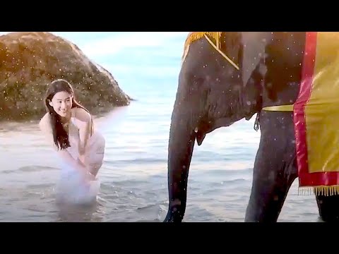 這世界 - 張清芳  ♬