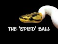The 'Spied' Ball Python