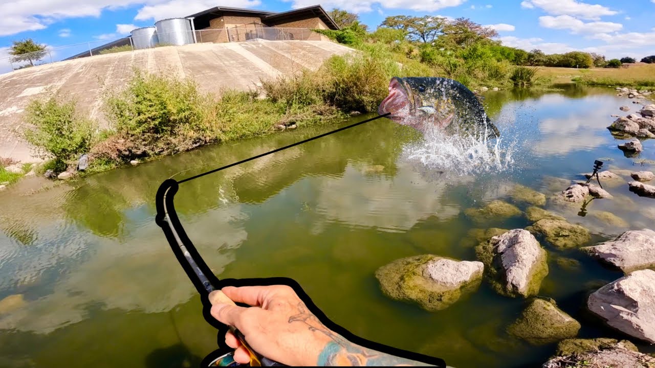 Trash filled creek is FULL of BIG FISH! (SURPRISING)