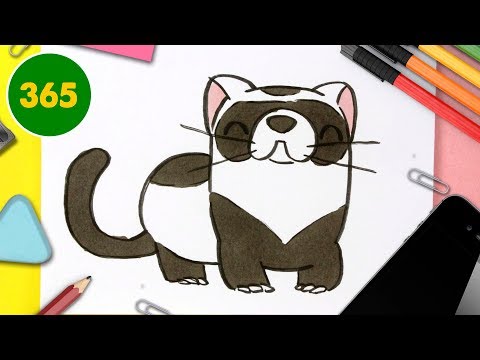 Vidéo: Comment Dessiner Un Furet