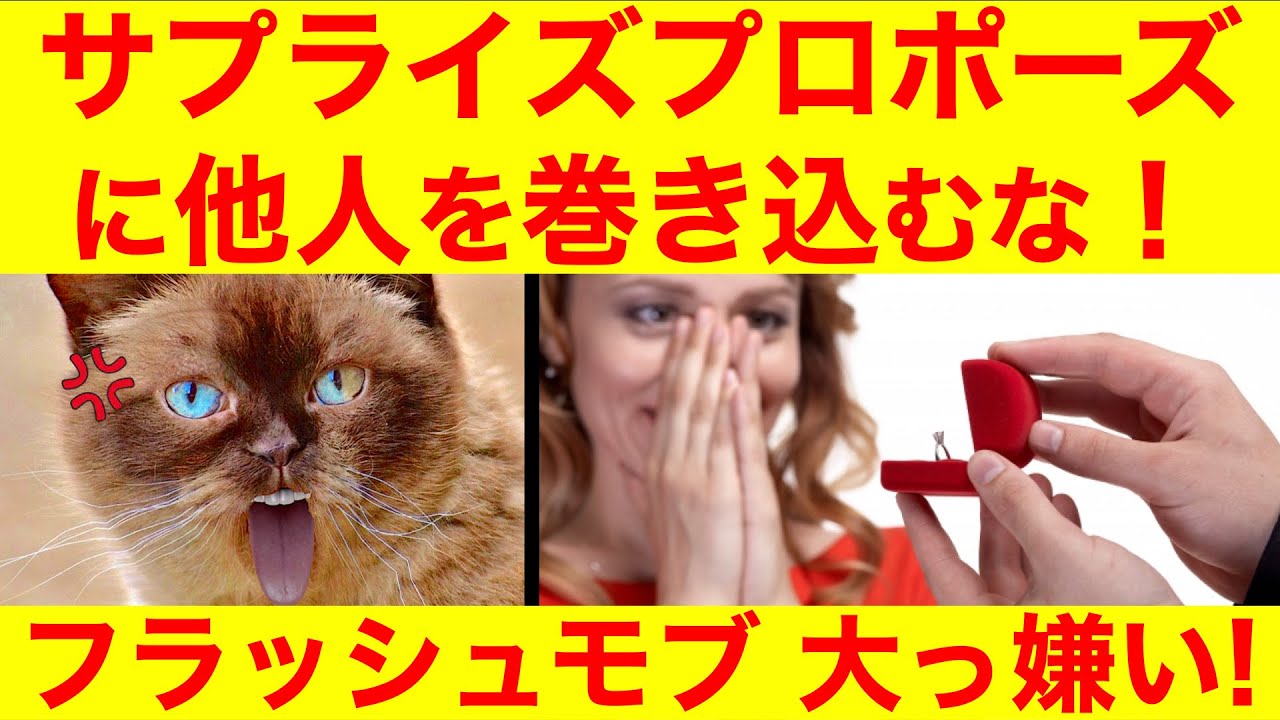 怒り たかがプロポーズに他人を巻き込むな フラッシュモブ大嫌い Youtube 怒り たかがプロポーズに他人を巻き込むな フラッシュモブ大嫌い Youtube
