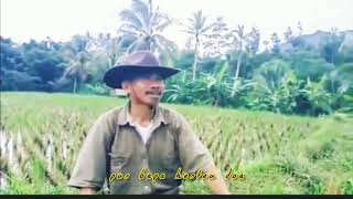 ORANG SUNDA PASTI NGERTI | sisindiran bahasa sunda | video lucu | video viral | NGAKAK BARENG