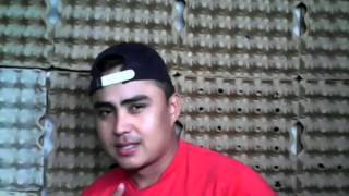 Movie No.14_20140623_020209.mp4