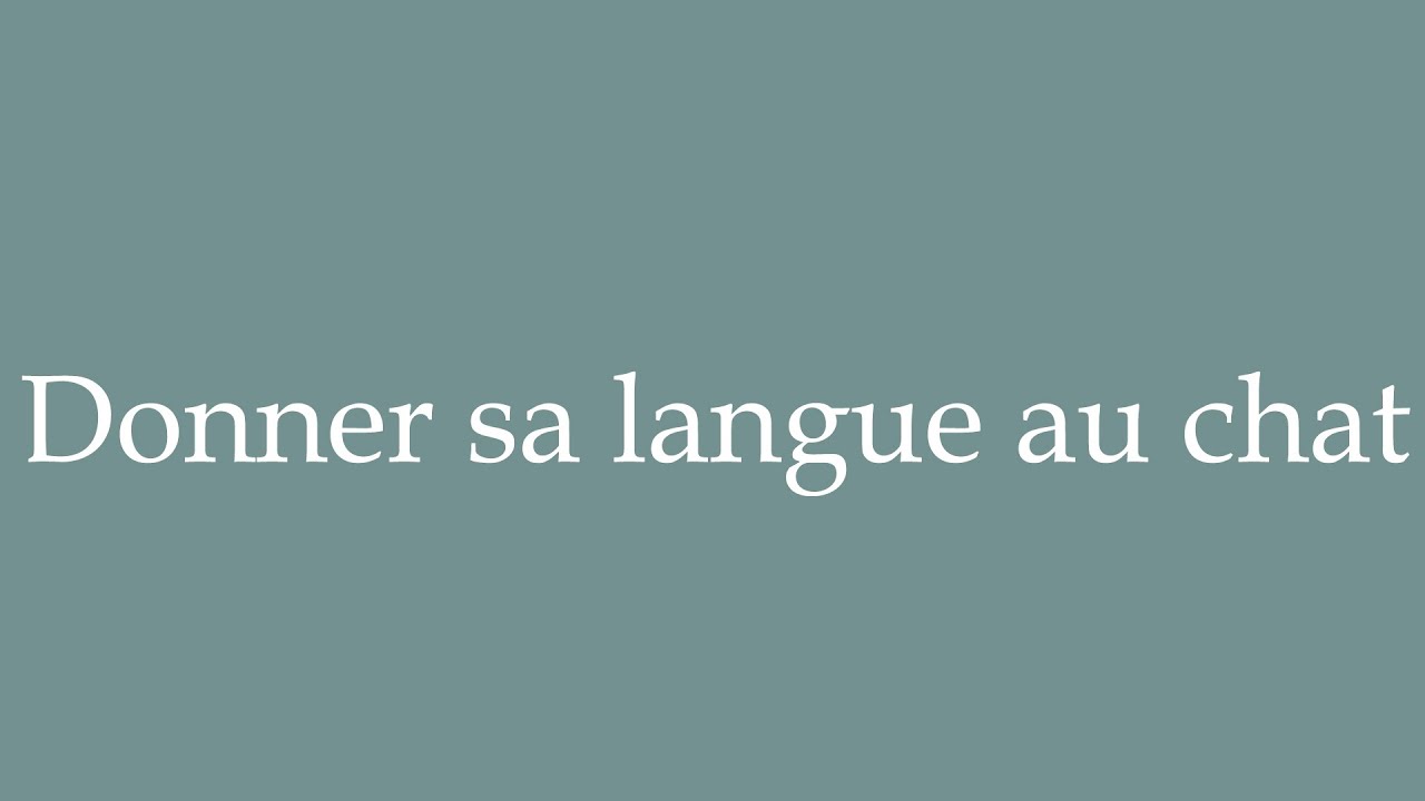 How to Pronounce ''Donner sa langue au chat'' (Give your tongue to the