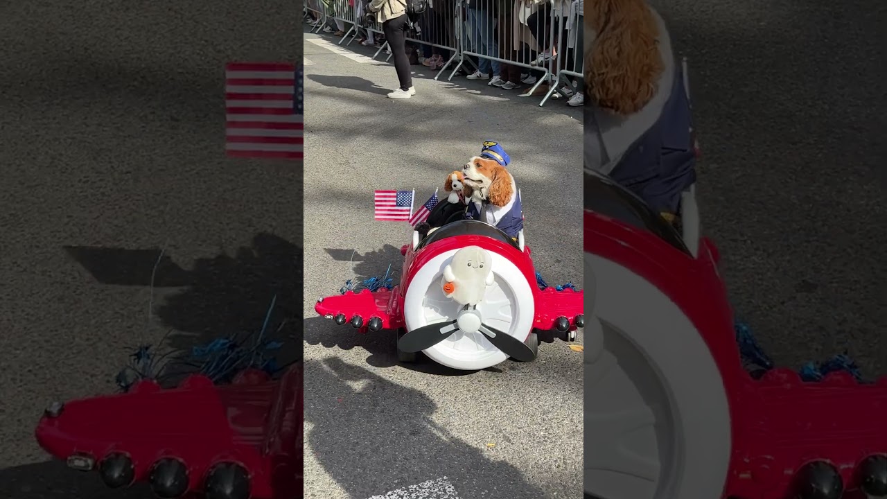 2025 Tompkins Square Halloween Dog Parade NYC