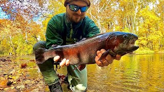 Fishing for BIG NEW JERSEY RAINBOW TROUT | Creating a Seasonal Recipe screenshot 1