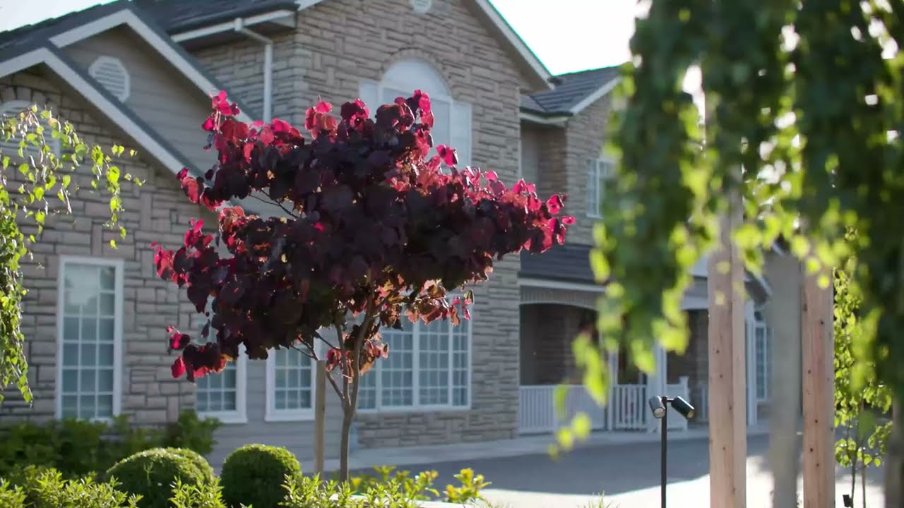Stunning Residential Landscaping: Rock Walls, Stacked Stone Beds & Timeless Design