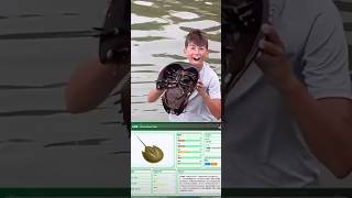 He Just Found a Real-Life Ancient Creature 😱🦀 450 Million Years Old!