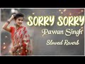 🎶Sorry Sorry " bhojpuri lofi song" || Sorry Sorry Slowed Reverb Song #pawansingh