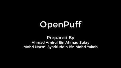 Openpuff- Information Technology Security