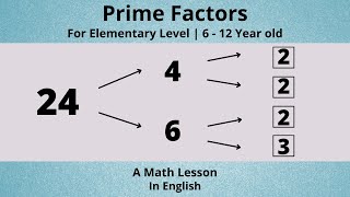 How to Find the Prime Factors of a Number - A Math Lesson | Elementary Level