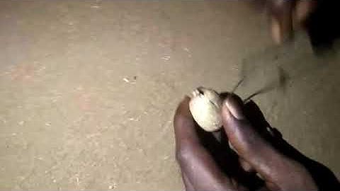 Nagmani available original real flower test call me 9850478643 Ruby Roy(2)