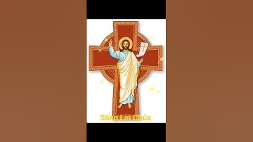 Suy niệm lời Chúa #shorts #lời_chúa #sống_lời_chúa #cầu_nguyện_mỗi_ngày #amen #suyniệmlờichúa