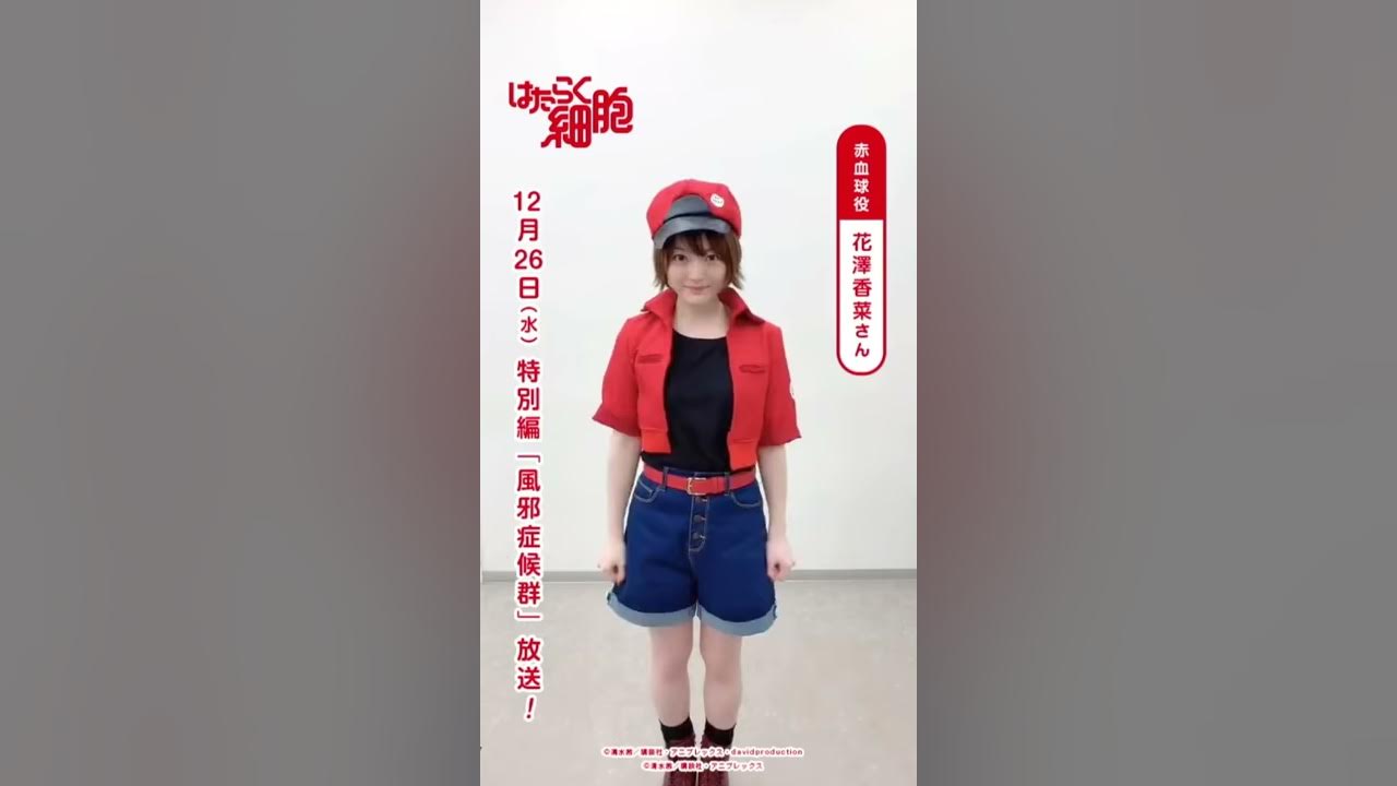 Muse Asia - Cells at Work!! - Special Screening Edition ⛏️ Character  Feature Our fan favourite - Red Blood Cell! Voiced by Kana Hanazawa, Red  Blood Cell is a character from Season