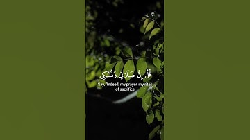 تلاوة جميلة وهادئة من فضيلة الشيخ أ.د(ياسر بن راشد الدوسري) 🤍🤍🤍🤍