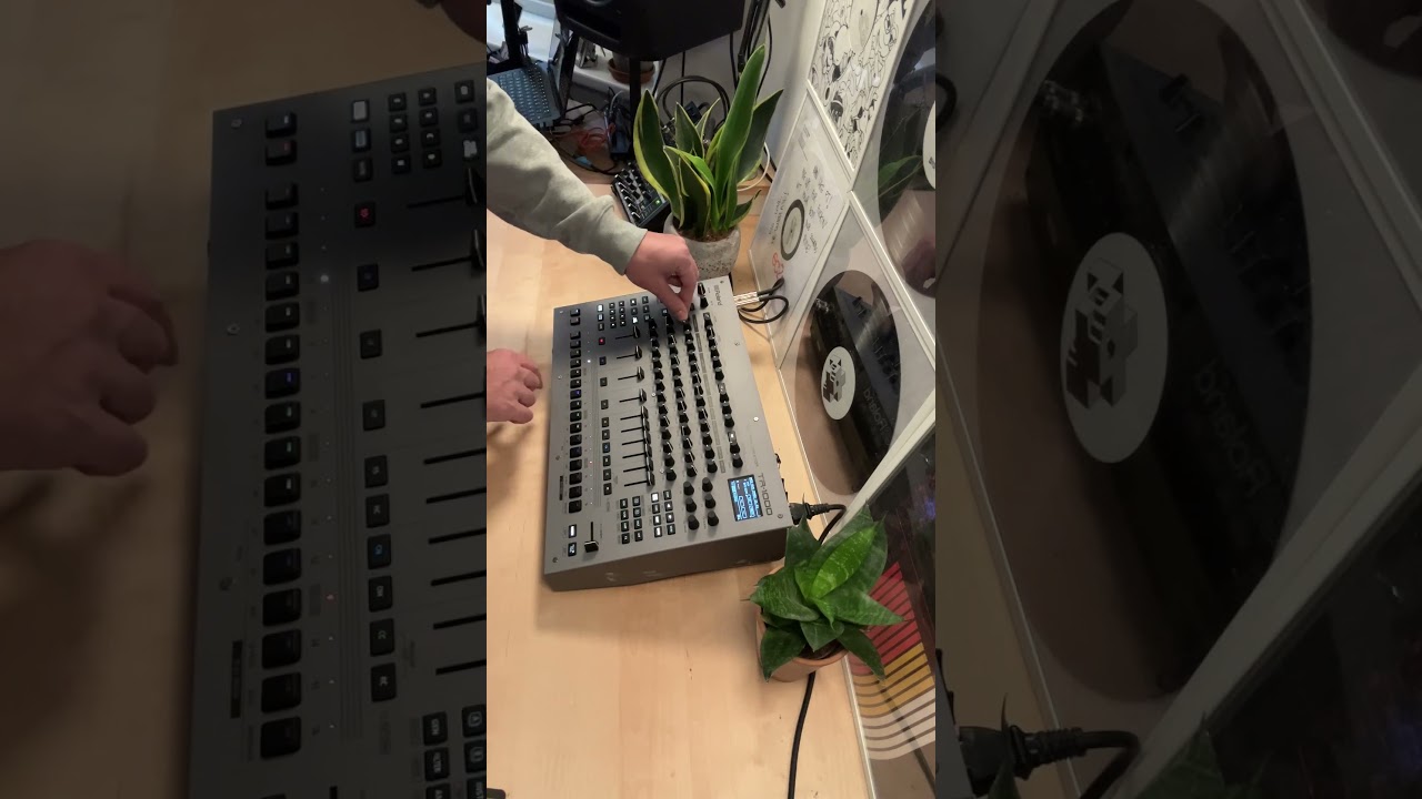 TR-1000 Dub Jam - Pj Bridger