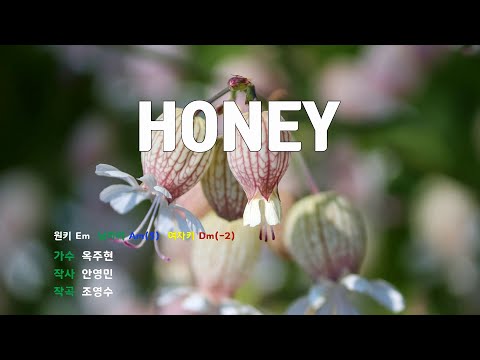 [은성 반주기] HONEY - 옥주현