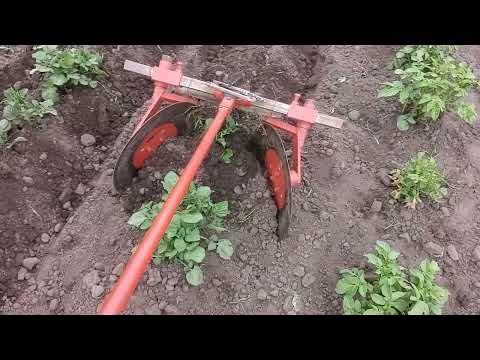 Ручной дисковый окучник. Первичная опашка картофеля. - YouTube