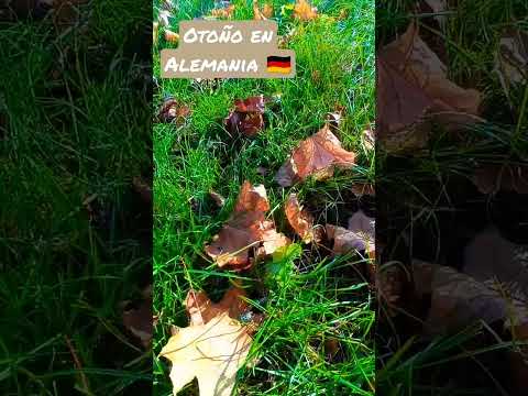 Video: Los mejores lugares para ver el follaje de otoño en Alemania