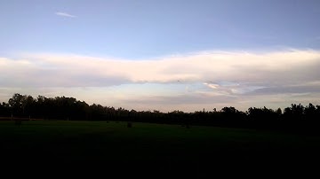 Sig Wonder with OS Max. 15