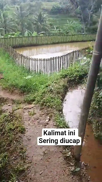 kalimat ini sering diucap#katakatabijak #kata do a #katamotivasi