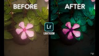 moody pink flower lightroom editing/ lightroom preset/spark editz screenshot 2