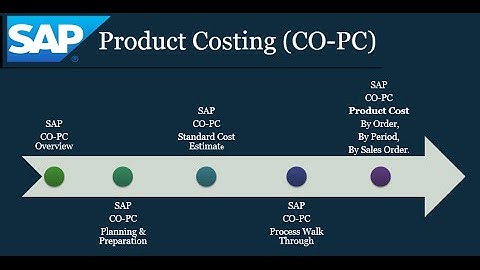 SAP STandard Cost estimate-Overview