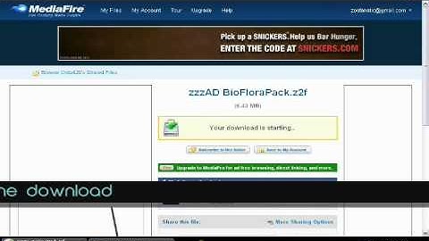 How to Install A Zoo Tycoon 2 Download