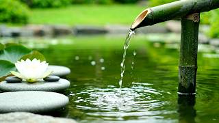 Night Lotus Garden 🎋 Serene Bamboo Fountain with Gentle Piano Notes and Water Sounds for Night Calm screenshot 5