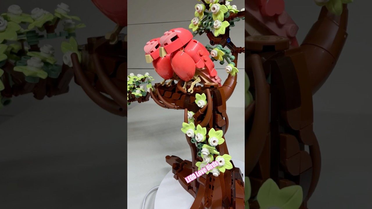 How sweet are these two? 🐦❤️ #lego #youtubeshorts
