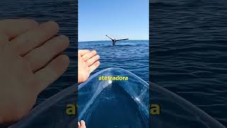 Construyo Un KAYAK TRANSPARENTE