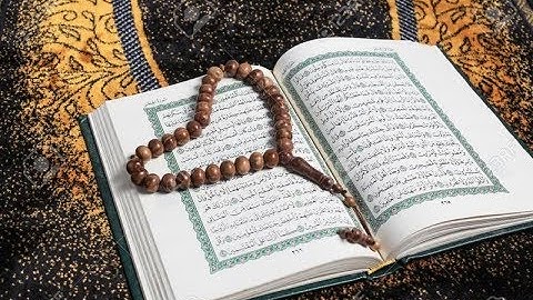 سورة البلد  مشاري العفاسي
