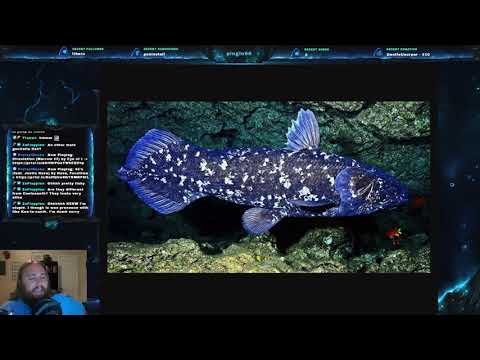 Fish Friday #51 - West Indian Ocean Coelacanth