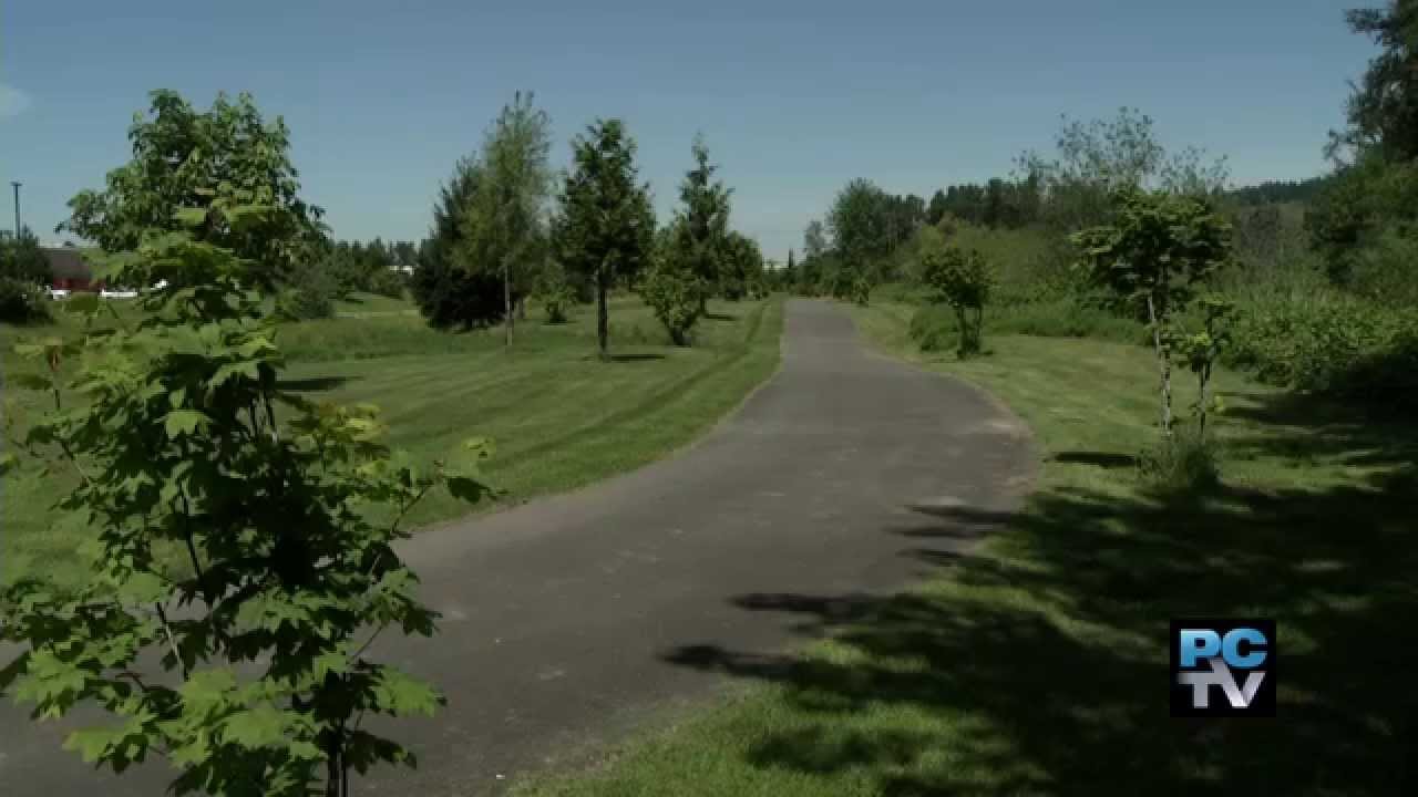 Sumner receives tree city award YouTube