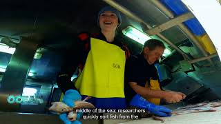 OCEAN - Where's the catch The fishery surveys keeping our seas sustainable