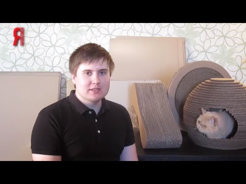 ЯБ2016 Мебель для кошек «Purrfect Place» ЯБ2016 Мебель для кошек «Purrfect Place»