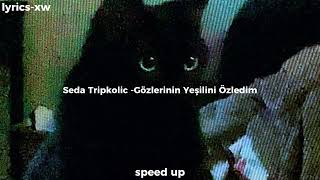 Seda Tripkolic -Gözlerinin Yeşilini Özledim -speed up Resimi