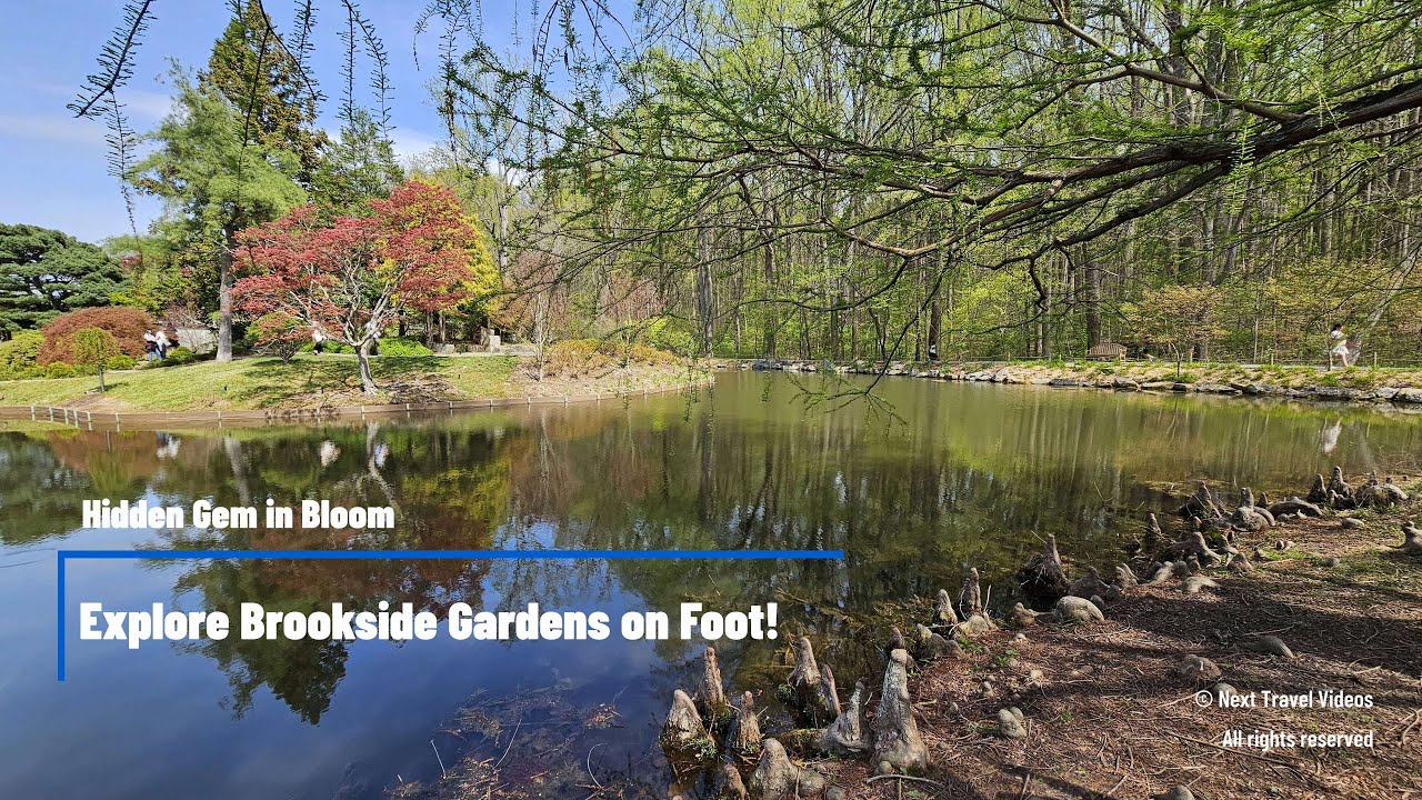 Hidden Gem in Bloom: Explore Brookside Gardens on Foot! - Stunning views in 4K!