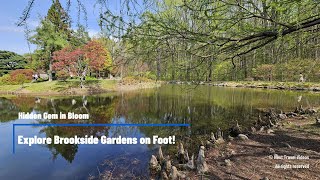 Hidden Gem in Bloom: Explore Brookside Gardens on Foot! - Stunning views in 4K!