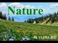 Nature sounds for relief and relaxation.