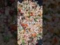 Sabudana Khichdi | Sabudana recipe #Shorts #roshanimalviya1816