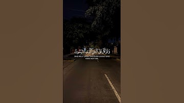 تلاوة مباركة خاشعة بصوت يلامس القلوب #اكسبلور #دويتو #حالات_واتس #القران #راحة_نفسية #خطبه #لايك