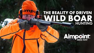 The reality of driven wild boar hunting... 🐗